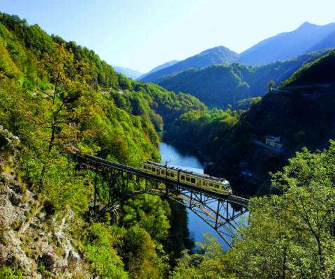 We’ll slow everything down