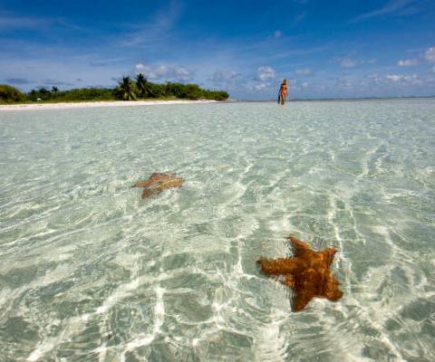 Win a place on a Cayman Islands luxury fam