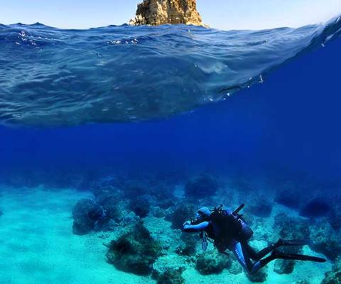 The Blue O Two brand will continue to operate under the ownership of Scuba Tours Worldwide Limited