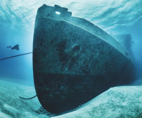 Diving_in_the_Cayman_Islands_1.jpeg