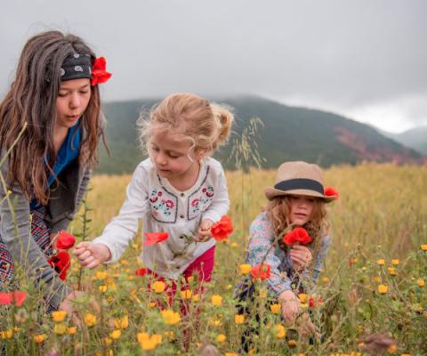 Intrepid Travel wants its staff to get behind Climate Strike