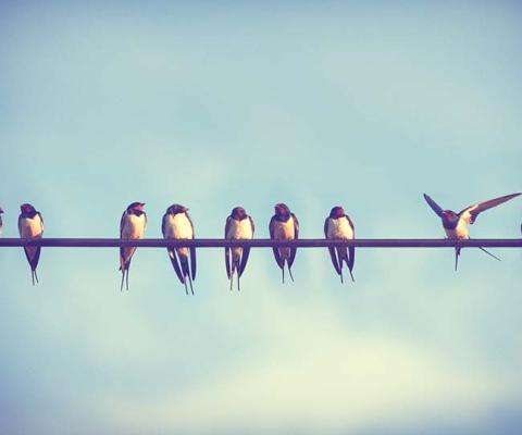 Sophie Griffiths: Understanding what is and isn’t protected in travel is not exactly easy