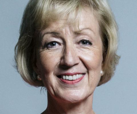 Business secretary Andrea Leadsom (Image credit: Chris McAndrew / CC BY 3.0)
