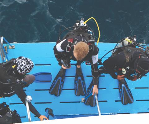 Reef-Worlds_Green_Fins_initiative_helps_dive_and_snorkel_op1.jpg