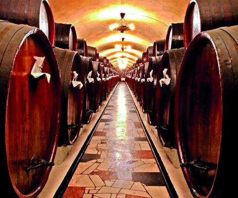 Wine-barrels-maturing-in-a-cellar.jpg