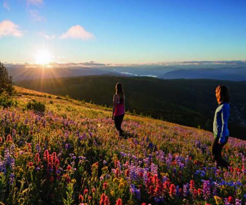 Abta says the new government must provide the travel sector certainty