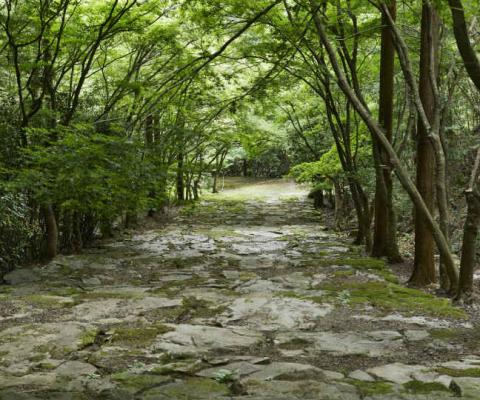 The gardens of Aman Kyoto