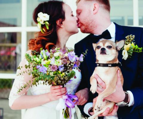Dog-friendly weddings are on the rise