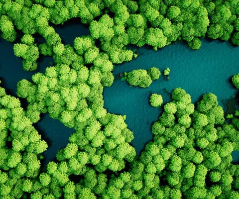 Carbon offsetting branded 'get out of jail card' for aviation sector