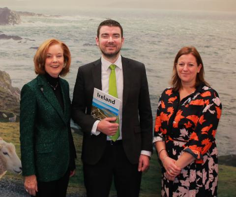 Brendan Griffin said Norwegian's decision to pull out of Ireland was a major setback