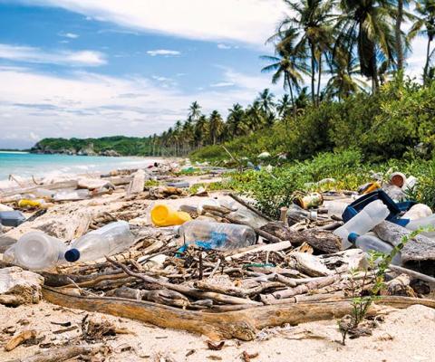 Plastics on Caribbean beach