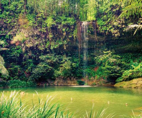 Borneo has entered Titan's top 20 for the first time