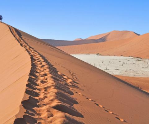 Dune in Namibia. Picture: Gary Noakes