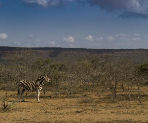 Explore has launched a new South Africa Garden Route tour