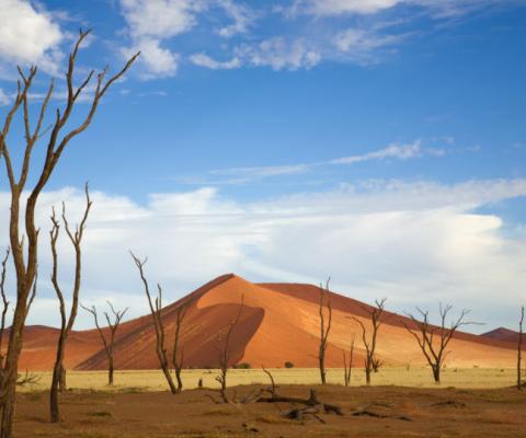 Namibia is one of two African destinations to be granted a travel corridor with the UK