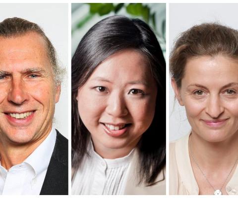 Denis Lacroix, Suzanna Chiu, and Marion Mesnage from Amadeus