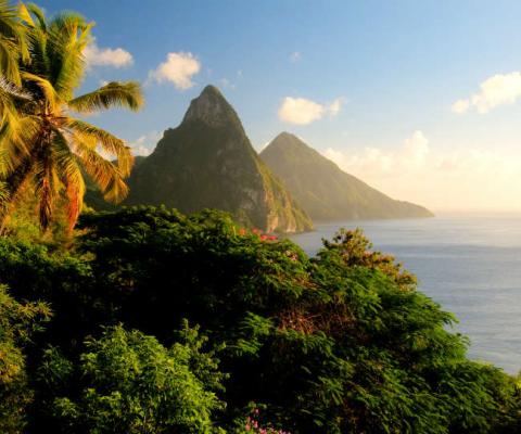 'If you can afford St Lucia, you can afford $3-$6 a night'