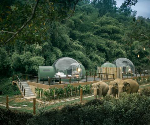 Anantara's Jungle Bubbles are fully air-conditioned