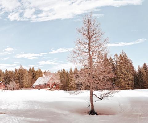 Brexit could affect operator's ability to post chalet workers (Credit: Simon Matzinger / Unsplash)