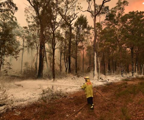 Tourists have been urged to flee parts of New South Wales