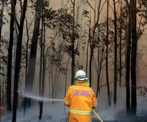 The fires in Australia have been burning for several months (Credit Rick Rycroft/AP/Shutterstock)