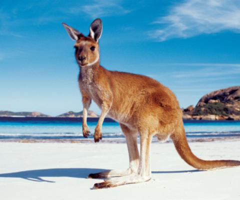 The donation will go to a range of causes