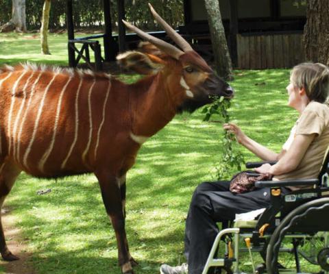 Rahisi Tours is offering a three-day Mount Kenya experience