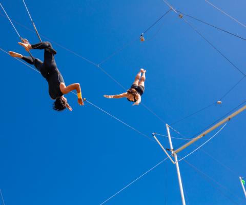 La_Plantation_dAlbion_offers_trapeze_lessons_2.jpg
