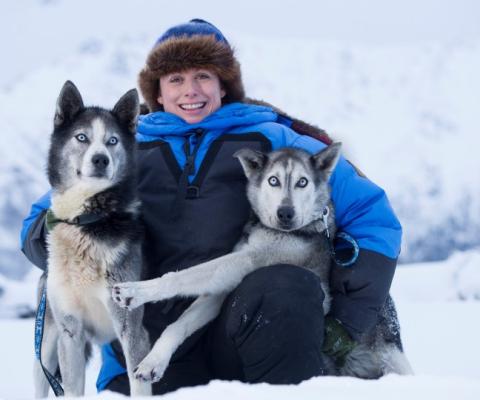 Clients can get to know huskies in Yukon