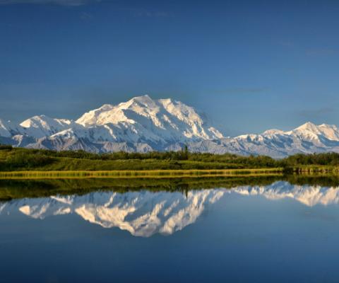 Denali National Park is a feature of Princess's Alaska programme