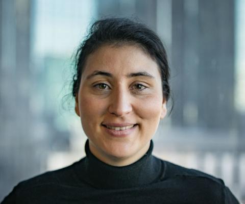 Zina Bencheikh has been working for Intrepid Group for 10 years