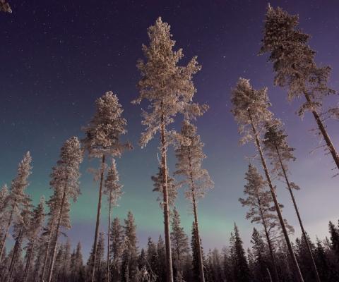 The new flights will get under way on 18 December (Credit: Vincent Guth / Unsplash)