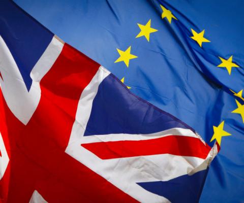 British visitors to the EU face a string of new travel requirements from January 2021