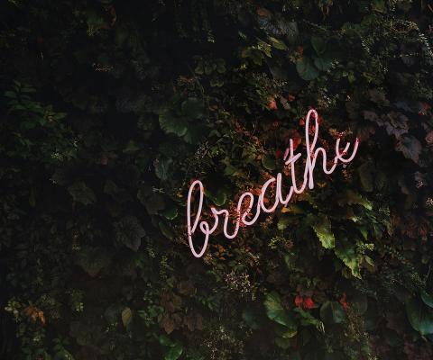 tim-goedhart-vnpTRdmtQ30-unsplash.jpg