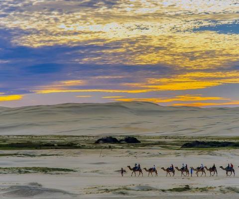 The FCDO is continuing to advise against all but essential travel to Egypt on Covid grounds, despite the country set to move to the green list