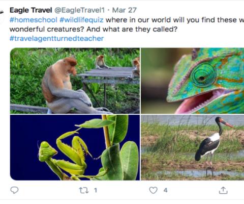 The first quiz saw Eagle ask clients to identify where four exotic animals were from in the world.