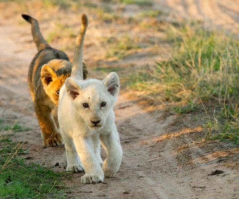 SOUTH AFRICA
