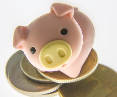 toy-finance-financial-symbol-pig-ruble-1448549-pxhere_Main.com1.jpg