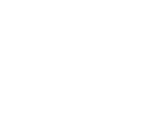 Adelaide white logo