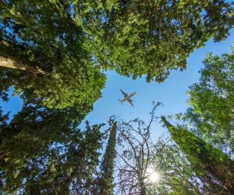 What lasting impacts will Covid-19 have on aviation?