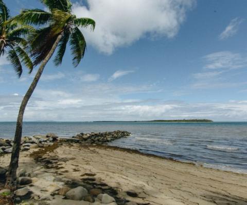 Nadi in Fiji (Credit: Adli Wahid/Unsplash)