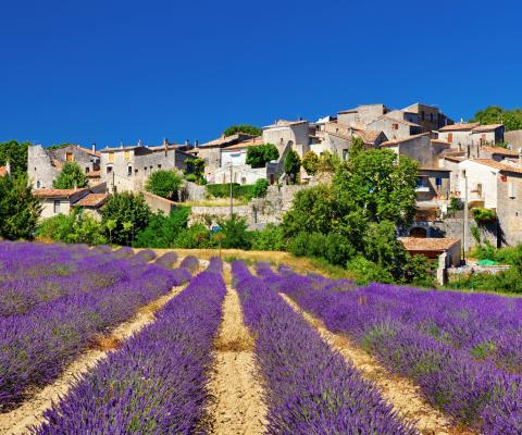 iStock-175381302_France.jpg