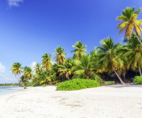 Dominican Republic aims to reopen to international tourists from 1 July