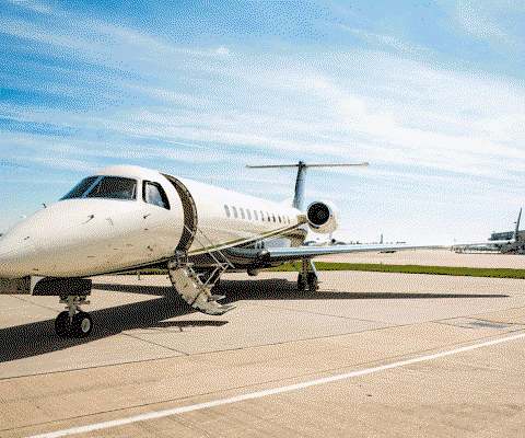 Legacy-600.gif