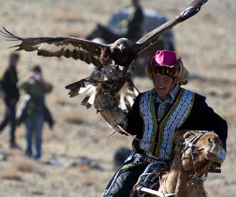Nomadic Expeditions on funding golden eagle conservation in Mongolia