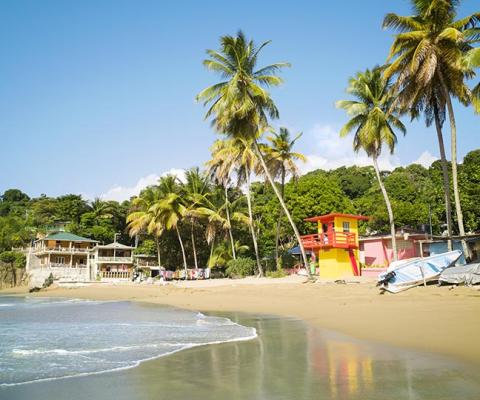 Tobago's Castara Bay