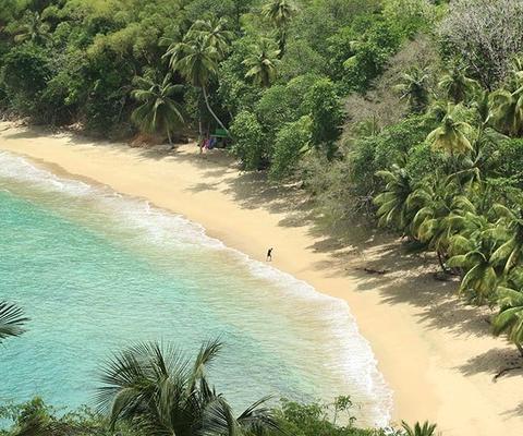 Englishmans Bay, Tobago