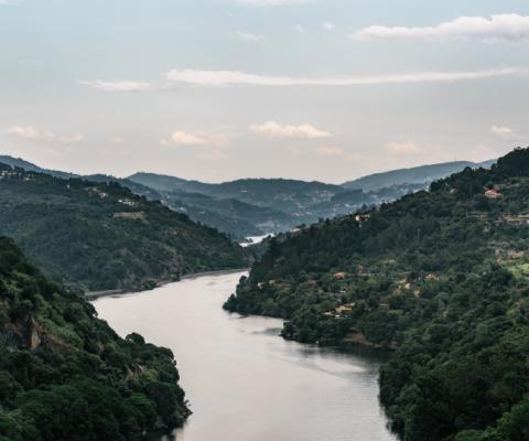 Riviera will restart Douro river cruises in September (Credit: Maksym Kaharlytskyi / Unsplash)