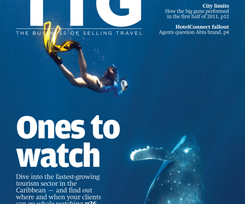 Travel Trade Gazette 7 July 2011