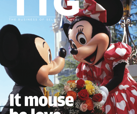 Travel Trade Gazette 14 February 2013